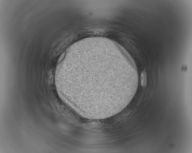 X0000112921395200910051057