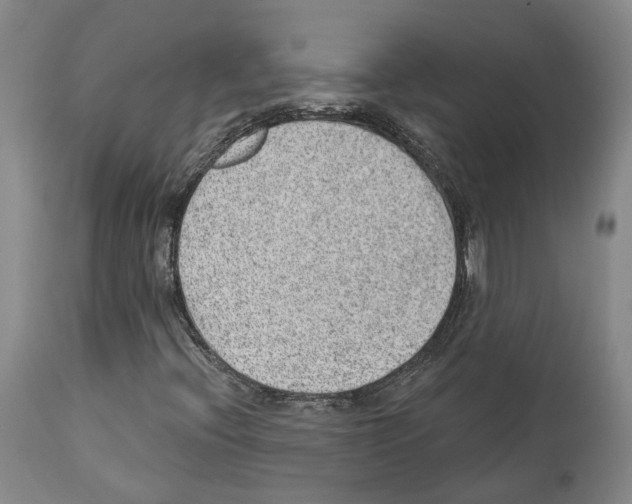 X0000112921396200910051057