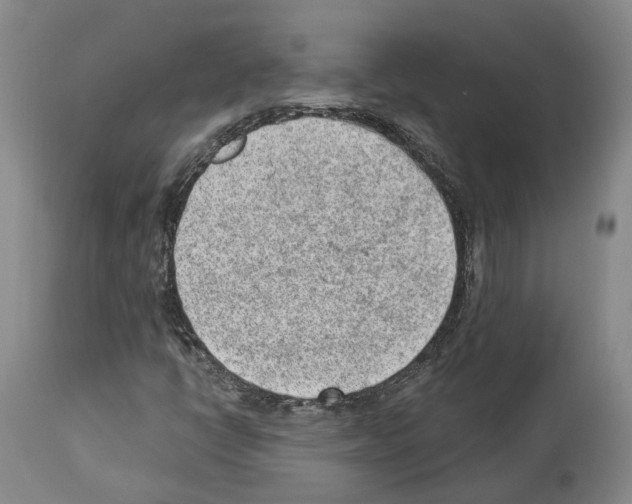 X0000112921398200910051057