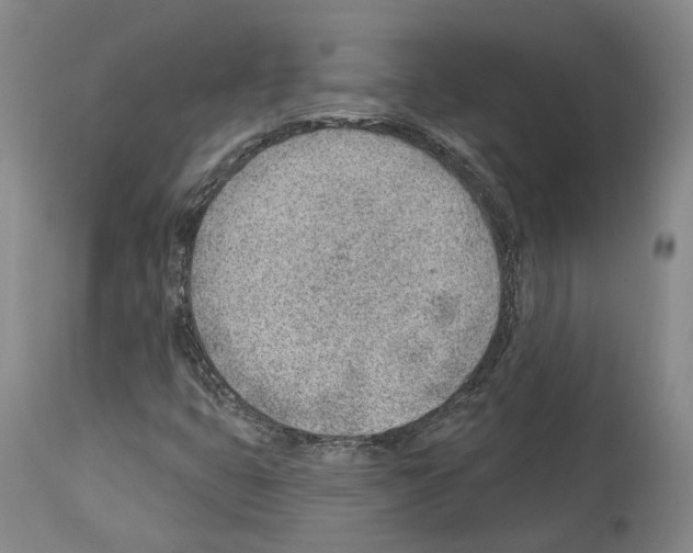 X0000112921399200910051057