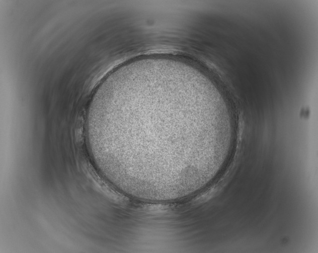 X0000112921401200910051057