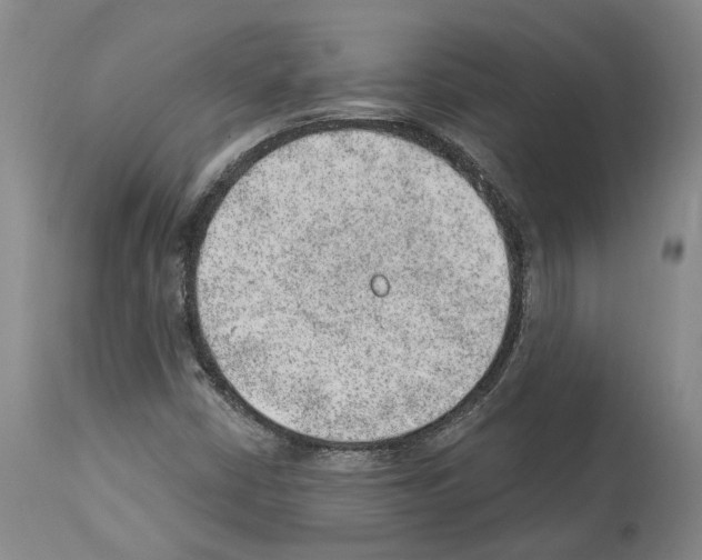 X0000112921402200910051057
