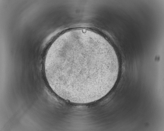 X0000112921406200910051057