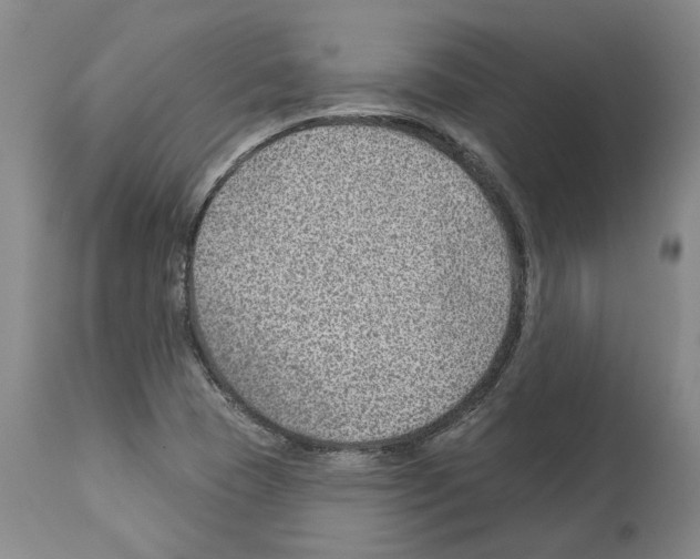 X0000112921409200910051057
