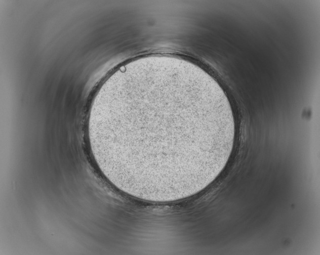 X0000112921410200910051057