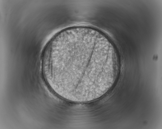 X0000112921414200910051057