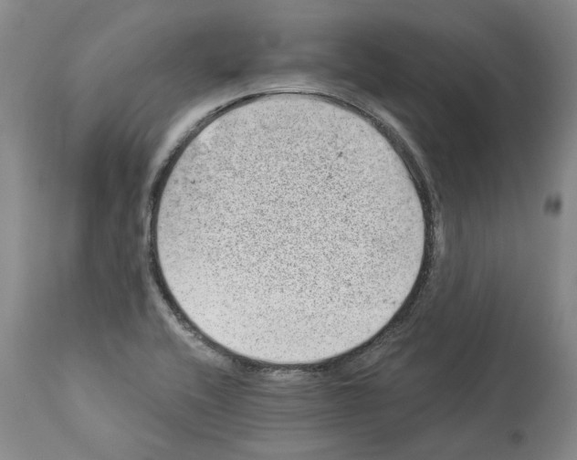 X0000112921416200910051057