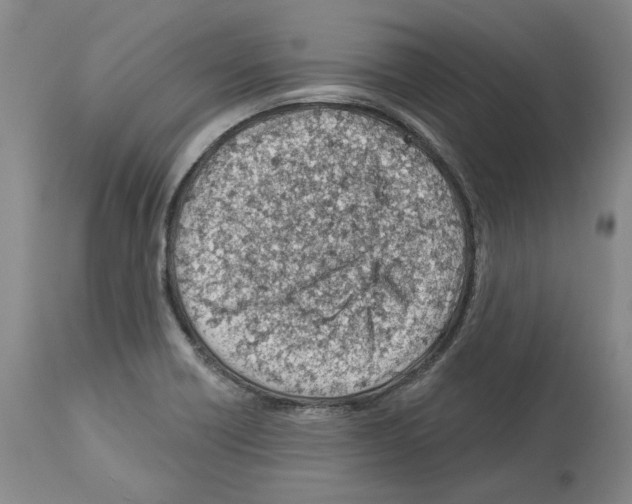 X0000112921418200910051057