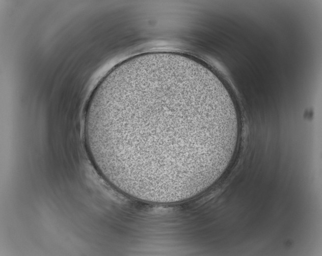 X0000112921419200910051057