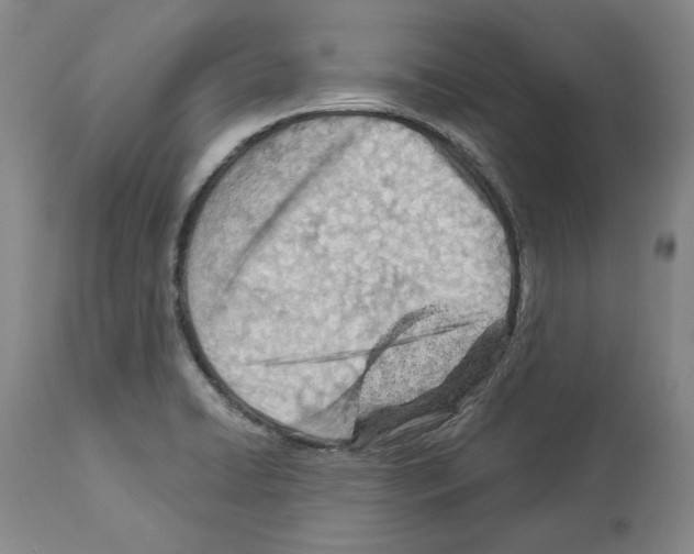 X0000112921422200910051057