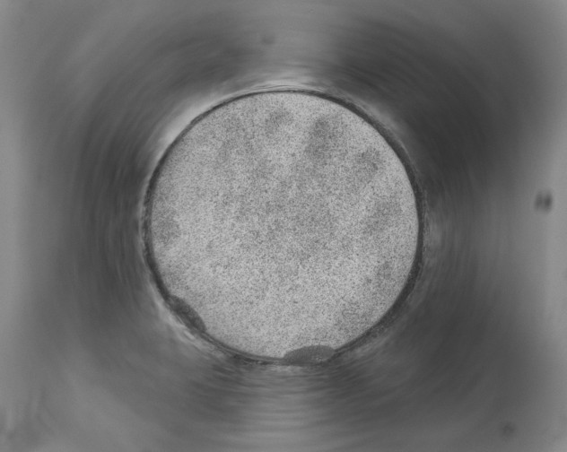 X0000112921423200910051057