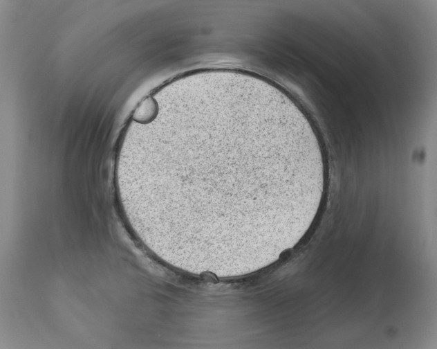 X0000112921424200910051057