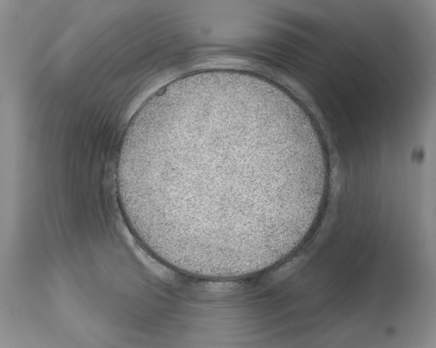 X0000112921425200910051057