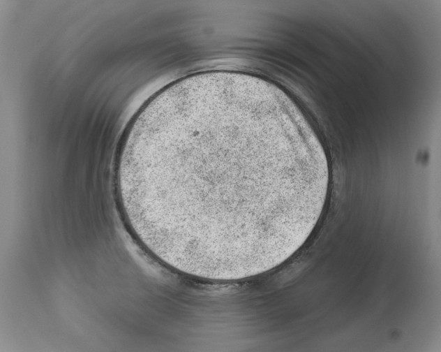 X0000112921426200910051057