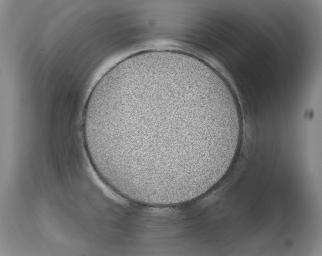 X0000112921429200910051057
