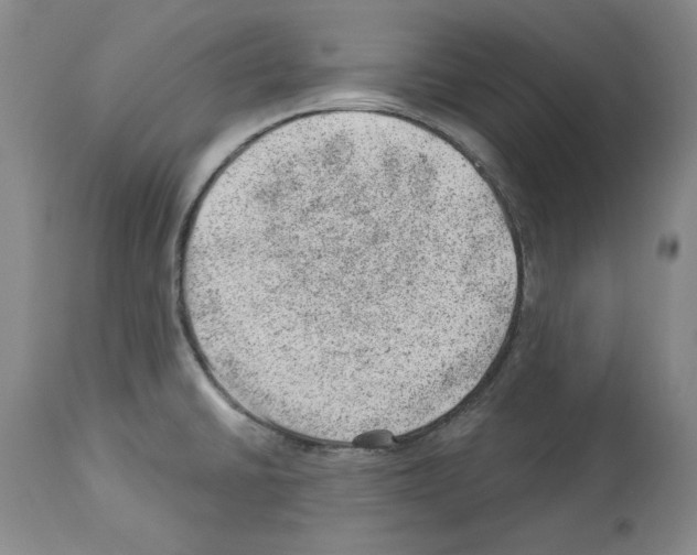 X0000112921430200910051057