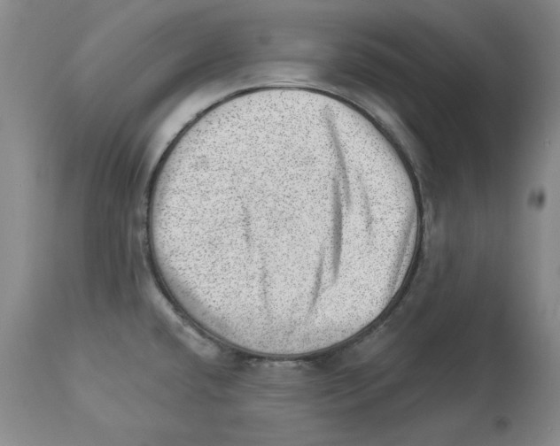 X0000112921432200910051057