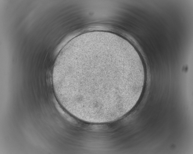 X0000112921433200910051057