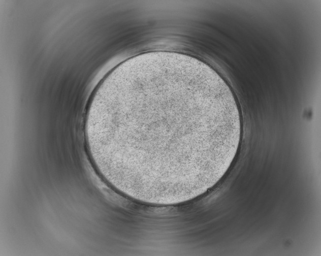 X0000112921434200910051057