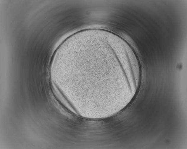 X0000112921436200910051057