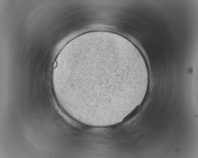 X0000112921437200910051057