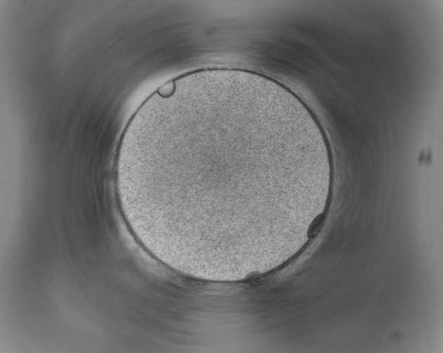 X0000112921440200910051057