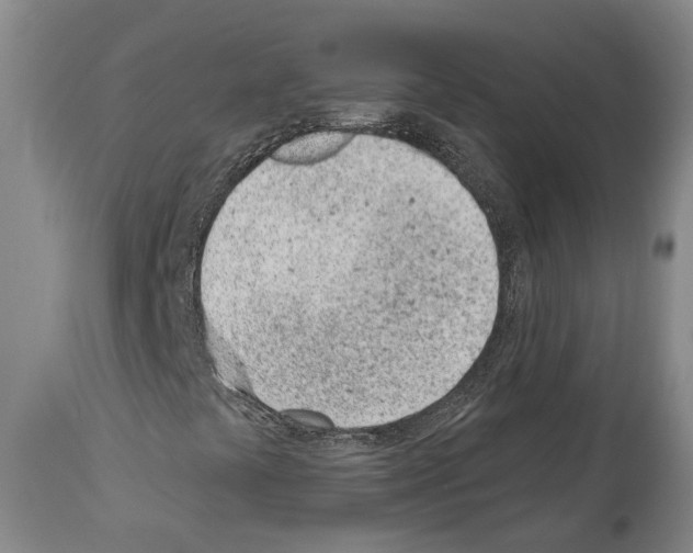 X0000112921441200910051056