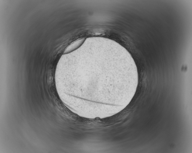 X0000112921442200910051056