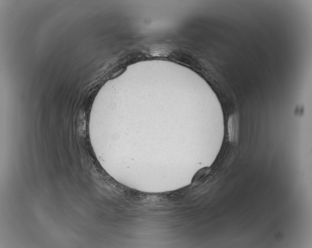 X0000112921443200910051056