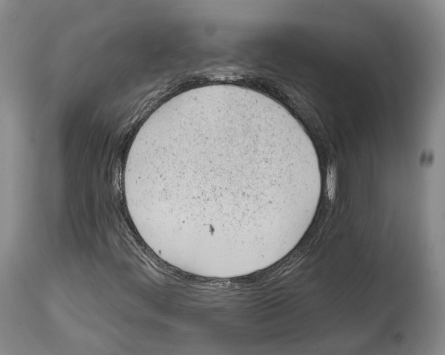 X0000112921444200910051056