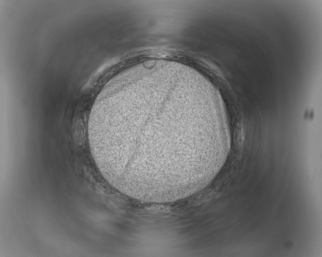 X0000112921446200910051056