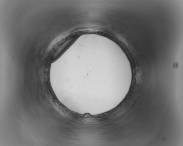 X0000112921448200910051056