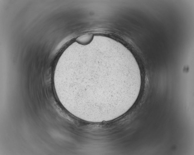 X0000112921450200910051056