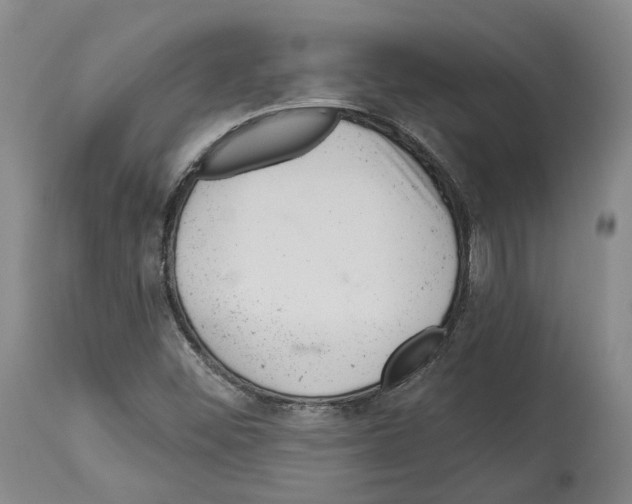 X0000112921452200910051056
