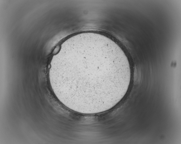 X0000112921453200910051056
