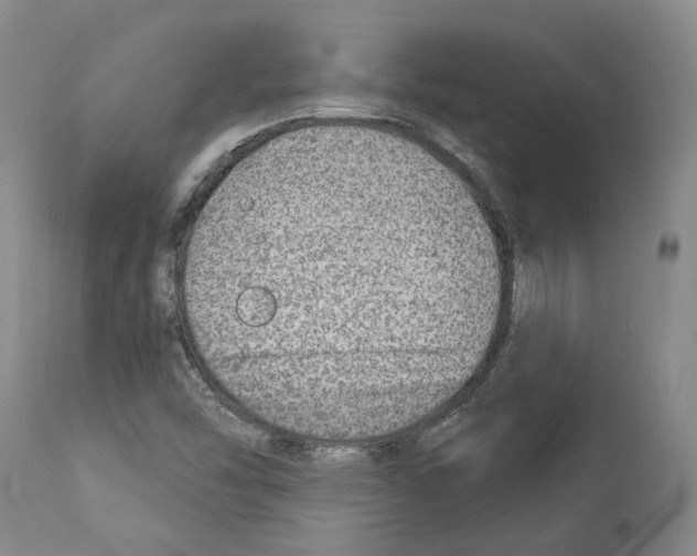 X0000112921454200910051056