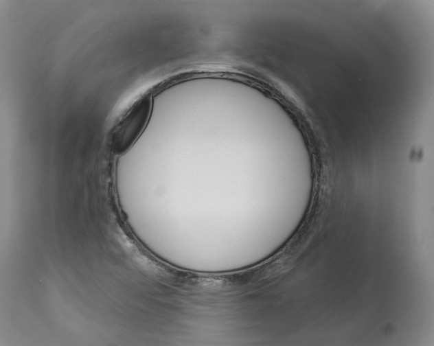 X0000112921456200910051056