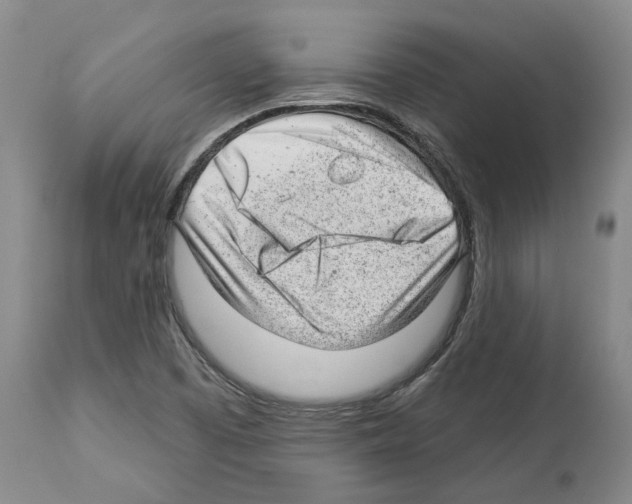 X0000112921457200910051056