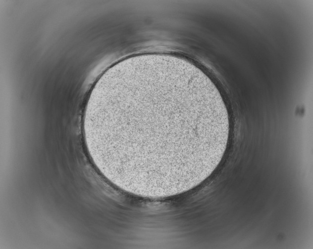 X0000112921459200910051056