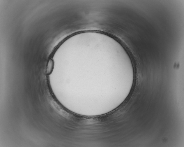 X0000112921460200910051056