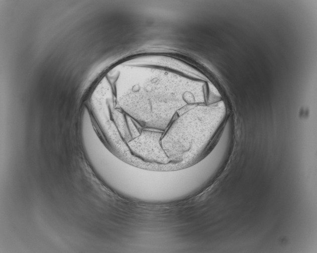 X0000112921461200910051056