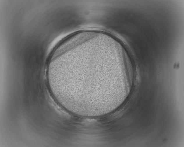 X0000112921462200910051056