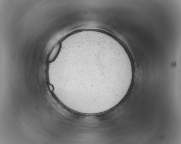X0000112921464200910051056