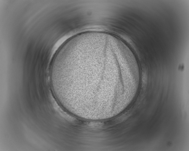 X0000112921466200910051056