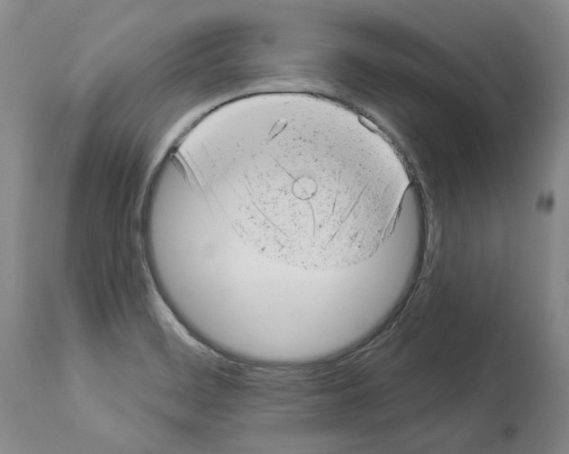 X0000112921468200910051056