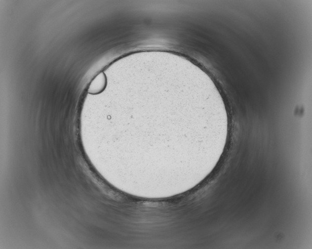X0000112921469200910051056