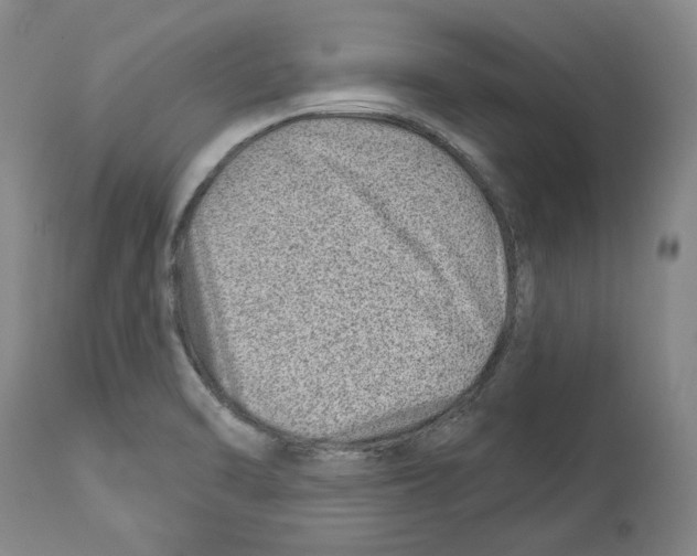 X0000112921470200910051056