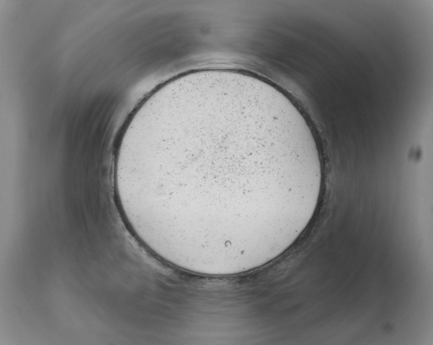 X0000112921472200910051056