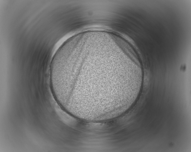 X0000112921474200910051056