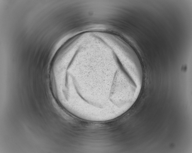 X0000112921475200910051056